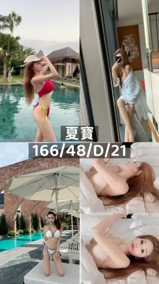 桃園外送茶-夏寶