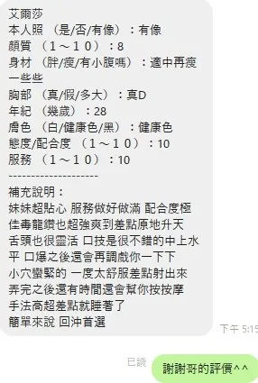 艾爾莎客人評價1